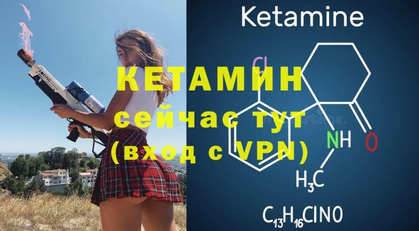 гашик Козловка
