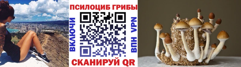 Галлюциногенные грибы мухоморы Белоярский
